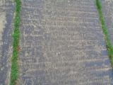 image of grave number 947320